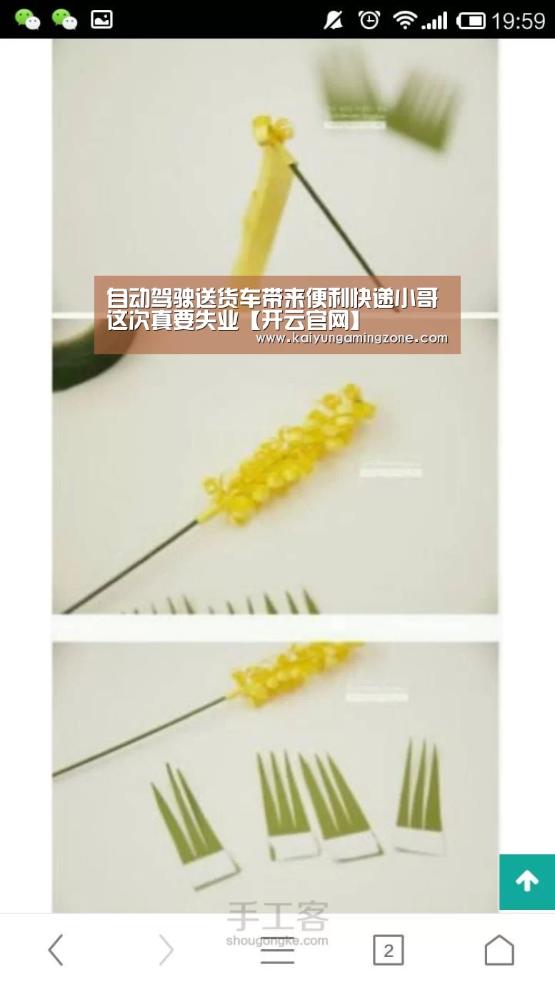 开云足球