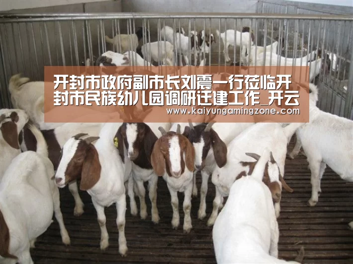 开云官网
