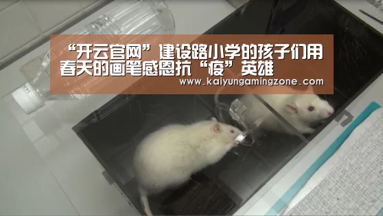 “开云官网”建设路小学的孩子们用春天的画笔感恩抗“疫”英雄(图4) 开云足球
